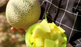 壁纸娱乐吃瓜,吃瓜群众的热议焦点