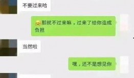 吃瓜聊天记录传送门免费,免费传送门背后的故事