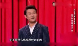 小沈龙最新爆料导演,导演背后的惊人内幕