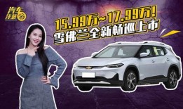 爆料关于买车的视频大全,全方位解析购车攻略与技巧