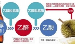 厦门酒瓜最新事件爆料,最新爆料揭示惊人内幕